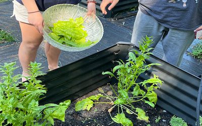Gardens Provide Hands-on Science Learning for Coastal Prep High School Students